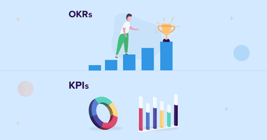 IT Developer's KPI/OKR Management